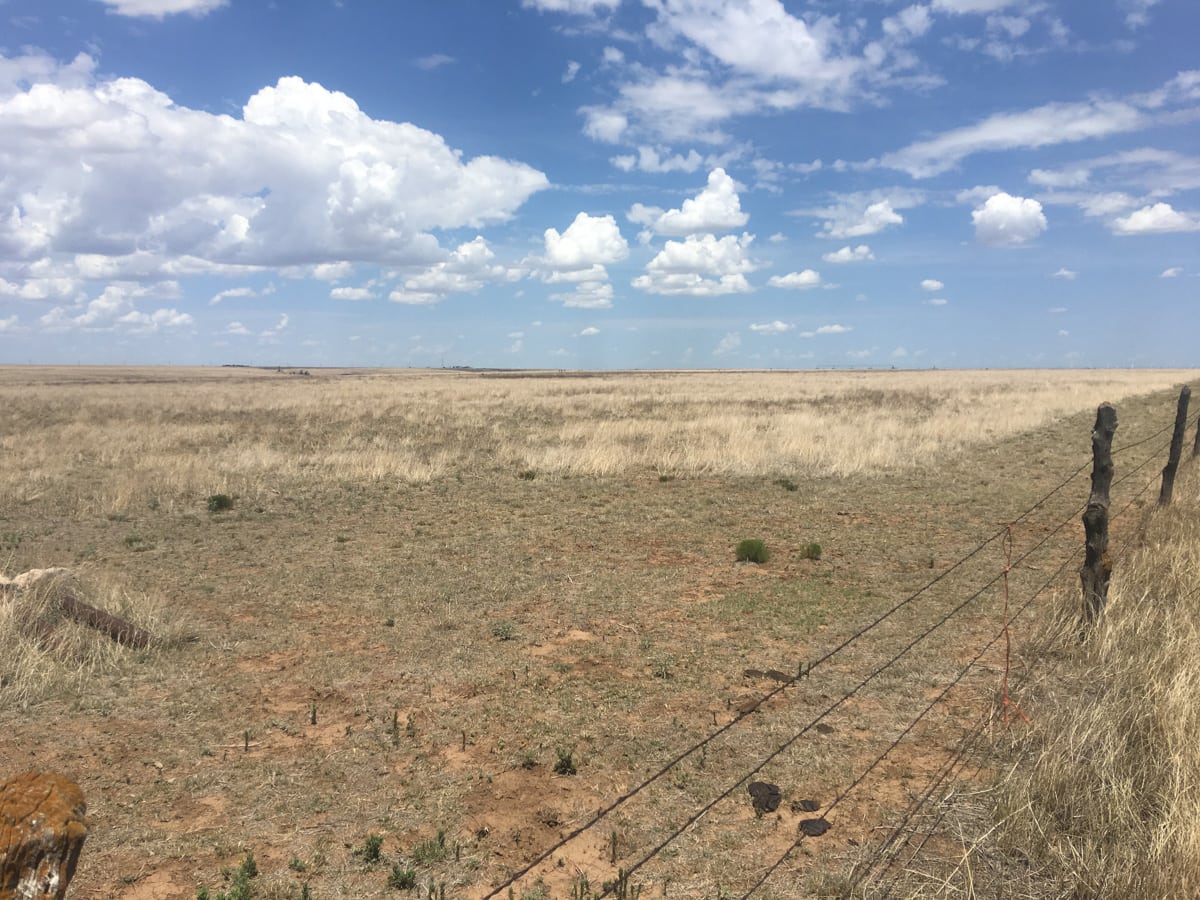 5401 FM 809 Wildorado, TX Tracts 3 & 4 Triangle Realty