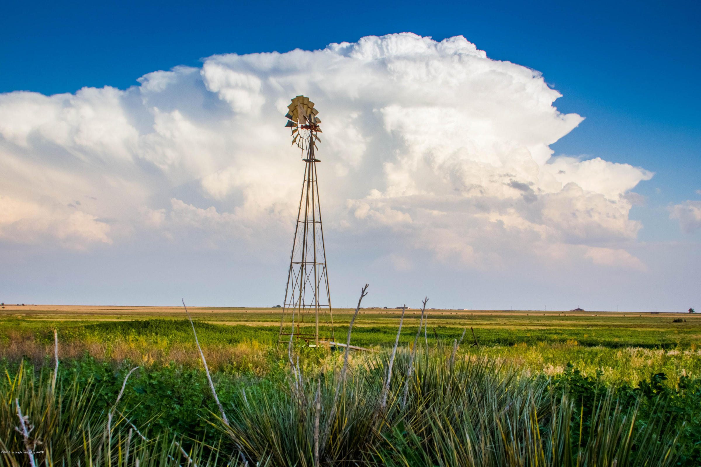 Carson County CRP Panhandle, TX 79068 Triangle Realty
