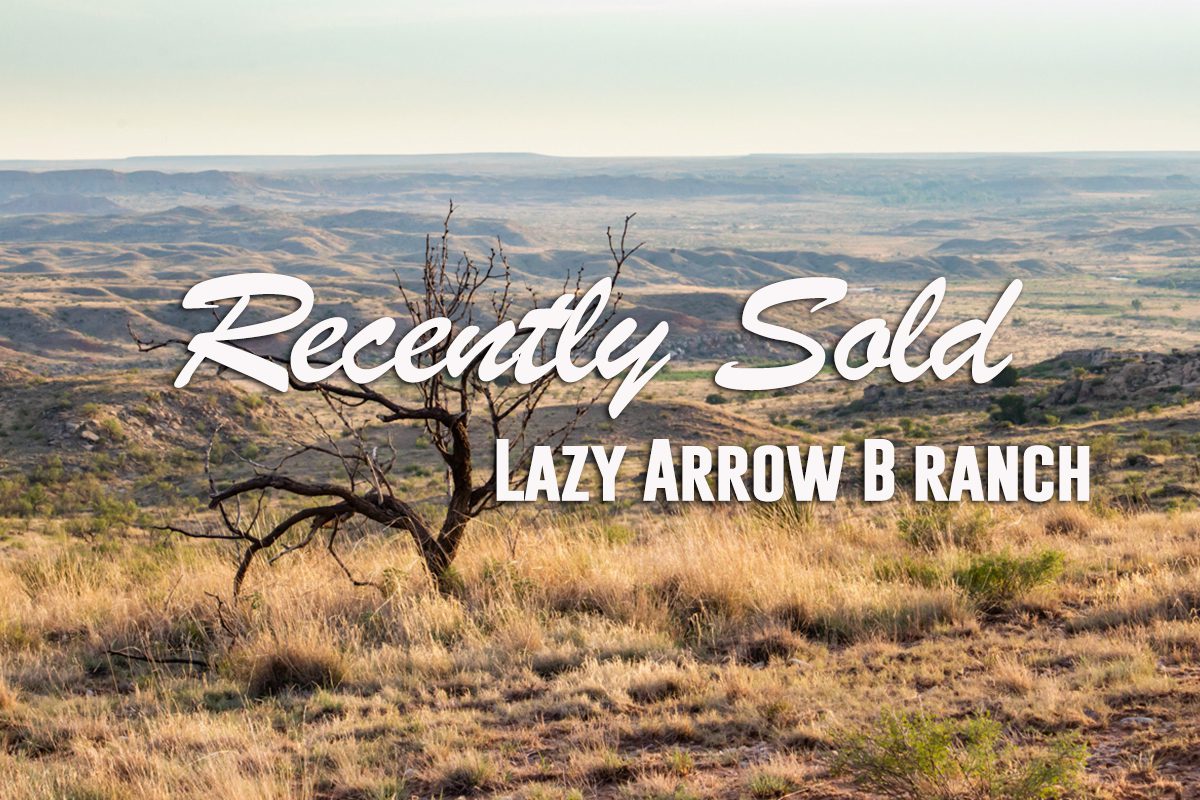 Lazy Arrow B Ranch: A Premier Texas Ranch Sold by The Haynes Team ...