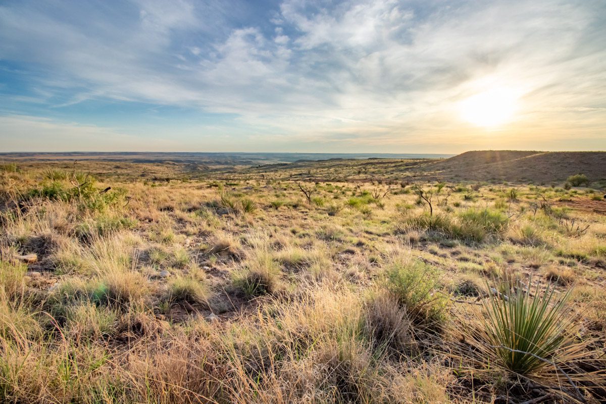 Lazy Arrow B Ranch: A Premier Texas Ranch Sold by The Haynes Team ...