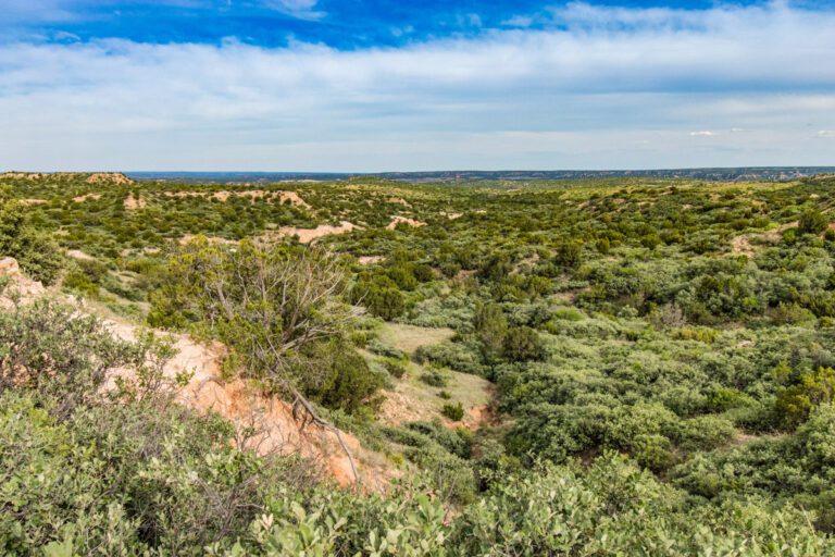 Texas Land Market Update: Spring 2025 Trends and Insights - Triangle Realty
